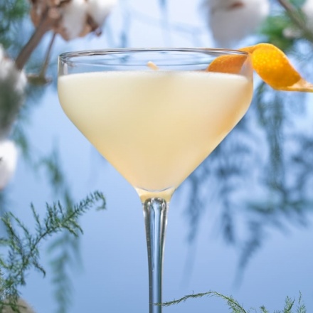 ジン グレープフルーツ ギムレット