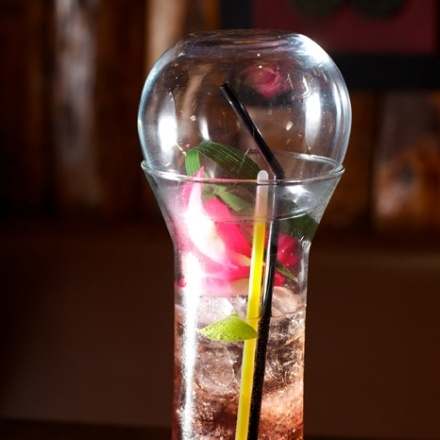 ビオスフェラ・ドライ