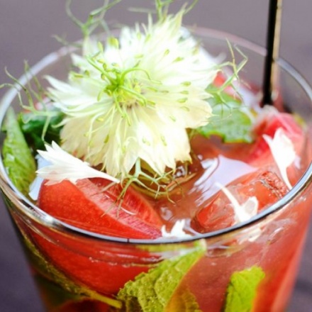 スカーレット・ガンダー