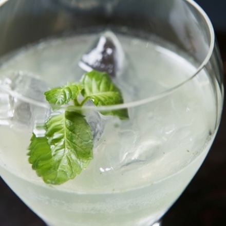 ホーリー バジル スマッシュ