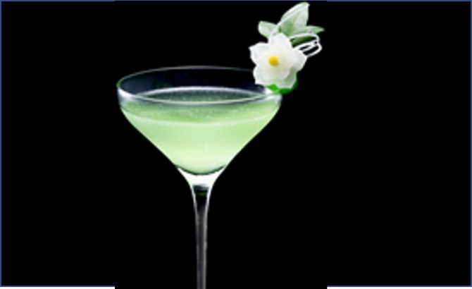 瑞風(ミズカゼ)Mizu Kaze