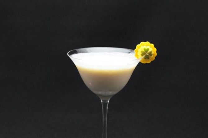 プレシャス メモリーPrecious Memory