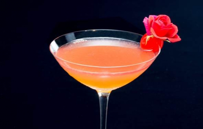 ケンタッキー ビューティーKentucky Beauty