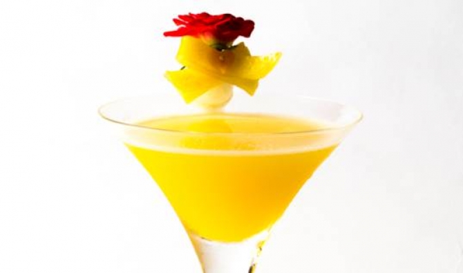 プライムマリッジPrime Marriage